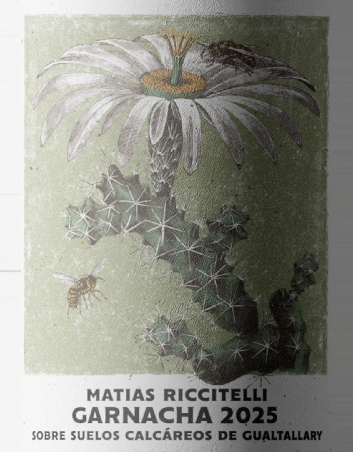 Gualtallary Garnacha 2025 – etiqueta WEB